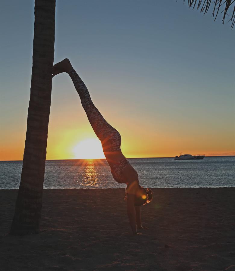 Handstand sunset palm tree